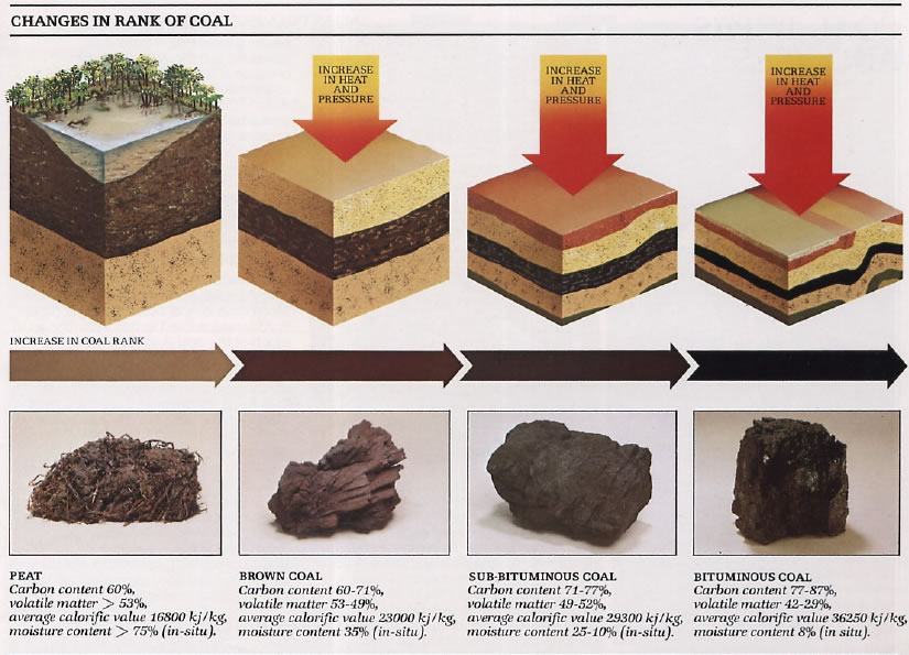 fossil-fuel-part2